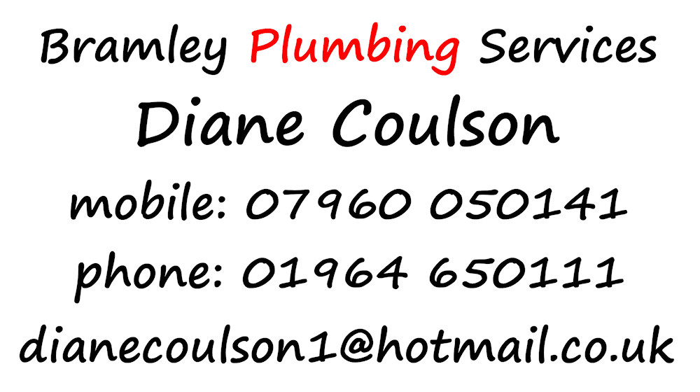 Bramley Plumbing Services