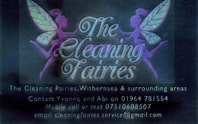 The Cleaning Fairies